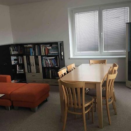 Family Apartment With Garden And Parking Spot Ceske Budejovice Buitenkant foto