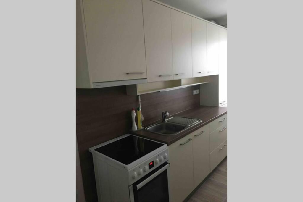 Family Apartment With Garden And Parking Spot Ceske Budejovice Buitenkant foto