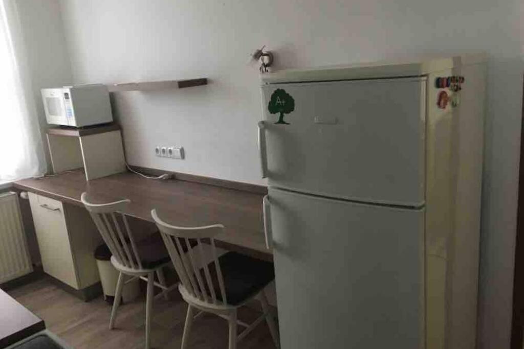 Family Apartment With Garden And Parking Spot Ceske Budejovice Buitenkant foto
