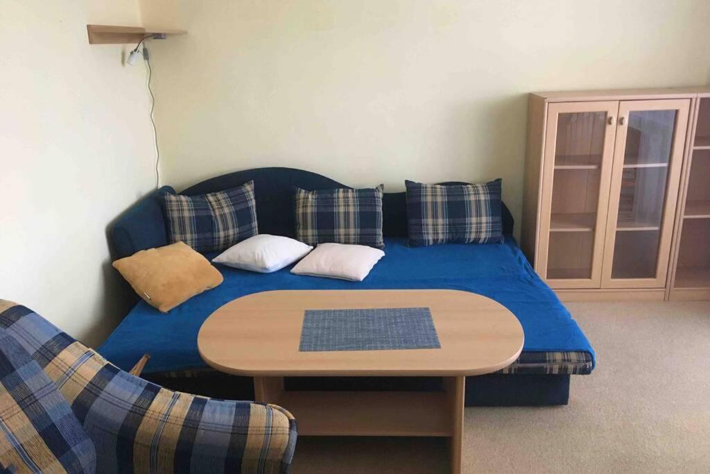 Family Apartment With Garden And Parking Spot Ceske Budejovice Buitenkant foto